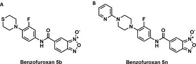 Screening of novel narrow-spectrum benzofuroxan derivatives for the treatment of multidrug-resistant tuberculosis through in silico, in vitro, and in vivo approaches